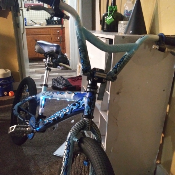 Custom bicycle - Picture 2 of 2